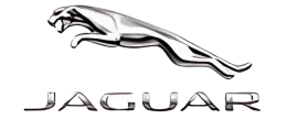 Jaguar Jaguar